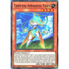 yu-gi-oh-tcg-dabl-en028-c-celestial-apparatus-tesea-darkwing-blast
