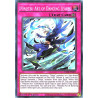 yu-gi-oh-tcg-dabl-en077-c-ninjitsu-art-of-dancing-leaves-darkwing-blast