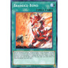yu-gi-oh-tcg-dama-en055-c-branded-bond-dawn-of-majesty