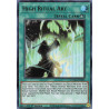 yu-gi-oh-tcg-dama-en065-ur-high-ritual-art-dawn-of-majesty