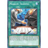 yu-gi-oh-tcg-dama-en069-c-margin-trading-dawn-of-majesty