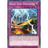 yu-gi-oh-tcg-dama-en078-c-beast-king-unleashed-dawn-of-majesty