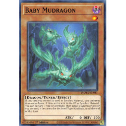 yu-gi-oh-tcg-dama-en081-c-baby-mudragon-dawn-of-majesty