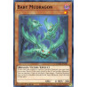 yu-gi-oh-tcg-dama-en081-c-baby-mudragon-dawn-of-majesty