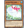 yu-gi-oh-tcg-dama-en093-c-flying-red-carp-dark-neostorm