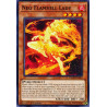 yu-gi-oh-tcg-dane-en014-c-neo-flamvell-lady-dark-neostorm