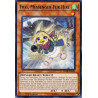 yu-gi-oh-tcg-dane-en015-r-filo-messenger-fur-hire-dark-neostorm