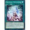 yu-gi-oh-tcg-dane-en061-c-crusadia-testament-dark-neostorm
