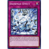 yu-gi-oh-tcg-dane-en079-c-snowman-effect-dark-neostorm