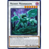 yu-gi-oh-tcg-dane-en081-r-muddy-mudragon-dark-neostorm