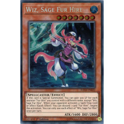 yu-gi-oh-tcg-dasa-en022-se-wiz-sage-fur-hire-cyberstorm-access