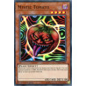 yu-gi-oh-tcg-dasa-en046-sr-mystic-tomato-cyberstorm-access