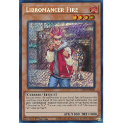 yu-gi-oh-tcg-difo-en000-se-libromancer-fire-cyberstorm-access