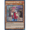 yu-gi-oh-tcg-difo-en000-se-libromancer-fire-cyberstorm-access