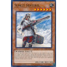 yu-gi-oh-tcg-difo-en028-c-sunlit-sentinel-cyberstorm-access