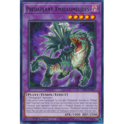yu-gi-oh-tcg-difo-en037-c-predaplant-ambulomelides-cyberstorm-access
