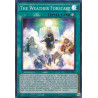 yu-gi-oh-tcg-difo-en063-sr-the-weather-forecast-cyberstorm-access