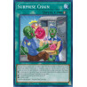 yu-gi-oh-tcg-difo-en068-c-surprise-chain-cyberstorm-access
