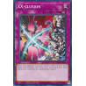 yu-gi-oh-tcg-difo-en079-c-xx-clusion-cyberstorm-access