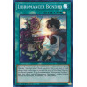 yu-gi-oh-tcg-difo-en089-sr-libromancer-bonded-cyberstorm-access