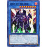 yu-gi-oh-tcg-dlcs-en067-lord-of-the-red-cybernetic-horizon