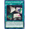 yu-gi-oh-tcg-dlcs-en136-flower-gathering-cybernetic-horizon