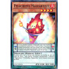 yu-gi-oh-tcg-docs-fr016-c-peluchefeu-mageartiste-cybernetic-horizon