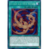 yu-gi-oh-tcg-docs-fr063-se-fusion-aux-yeux-impairs-cybernetic-horizon