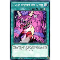 yu-gi-oh-tcg-docs-fr066-c-charge-intrepide-tete-baissee-cybernetic-horizon