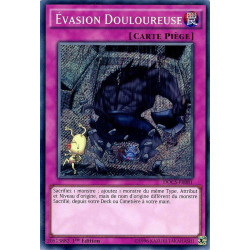 yu-gi-oh-tcg-docs-fr081-se-vasion-douloureuse-cybernetic-horizon