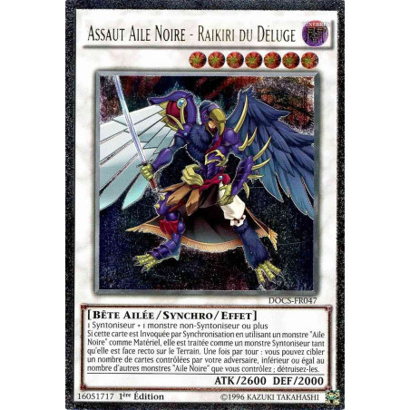yu-gi-oh-tcg-docs-fr047-ul-assaut-aile-noire-raikiri-du-deluge-cybernetic-horizon