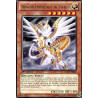 yu-gi-oh-tcg-gaov-fr022-r-dragon-hieratique-de-tefnuit-le-seigneur-de-la-galaxie