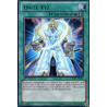 yu-gi-oh-tcg-gaov-fr062-ur-unite-xyz-le-seigneur-de-la-galaxie