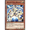 yu-gi-oh-tcg-gaov-fr094-c-dragon-toile-brillante-le-seigneur-de-la-galaxie