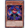 yu-gi-oh-tcg-geim-en060-r-performage-damage-juggler-genesis-impact