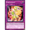 yu-gi-oh-tcg-genf-fr067-c-surcadence-la-force-des-generations