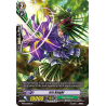 Vanguard_TCG_card_BT05_024EN_R_Iris_Knight_Awakening_of_Twin_Blades