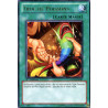 yu-gi-oh-tcg-genf-fr087-r-troc-de-poissons-la-force-des-generations