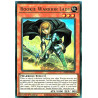 yu-gi-oh-tcg-gfp2-en043-ur-rookie-warrior-lady-ghosts-from-the-past-the-2nd-haunting