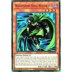 yu-gi-oh-tcg-gfp2-en110-ur-wandering-king-wildwind-ghosts-from-the-past-the-2nd-haunting