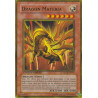yu-gi-oh-tcg-gld2-fr032-gr-dragon-materia-gold-2009