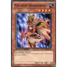 yu-gi-oh-tcg-gld3-fr004-c-paladin-amazonesse-gold-serie-3