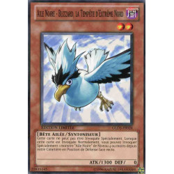 yu-gi-oh-tcg-gld3-fr024-c-aile-noire-blizzard-la-tempete-d-extreme-nord-gold-serie-3