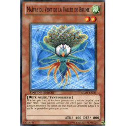 yu-gi-oh-tcg-gld3-fr033-c-maitre-du-vent-de-la-vallee-de-brume-gold-serie-3