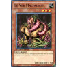 yu-gi-oh-tcg-gld4-fr003-c-le-ver-malfaisant-gold-series-4-pyramids-edition