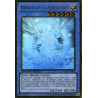 yu-gi-oh-tcg-gld5-fr029-gh-heraut-de-la-perfection-gold-series-haunted-mine