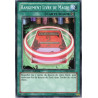 yu-gi-oh-tcg-gld5-fr040-c-rangement-livre-de-magie-actualise-de-rangement-des-grimoires-gold-series-haunted-mine