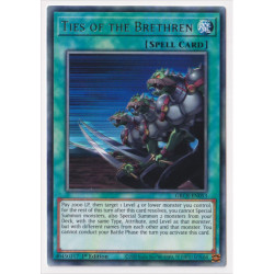yu-gi-oh-tcg-grcr-en053-r-ties-of-the-brethren-the-grand-creators