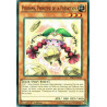 yu-gi-oh-tcg-drl2-fr030-sr-piecorma-princesse-de-la-prediction-les-dragons-de-legende-2