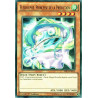 yu-gi-oh-tcg-drl2-fr033-sr-flechylphe-princesse-de-la-prediction-les-dragons-de-legende-2